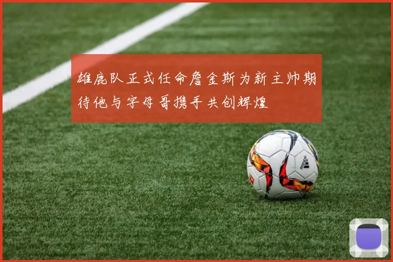 雄鹿队正式任命詹金斯为新主帅期待他与字母哥携手共创辉煌